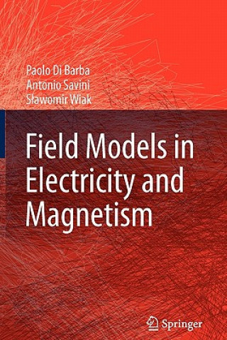 Knjiga Field Models in Electricity and Magnetism Paolo Di Barba