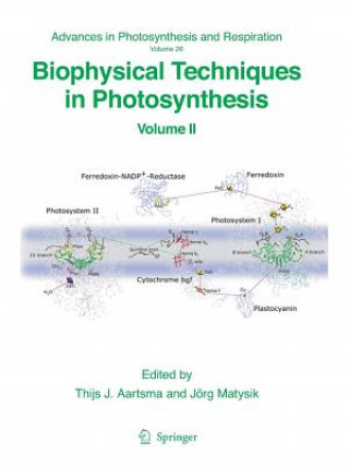 Książka Biophysical Techniques in Photosynthesis Thijs J. Aartsma