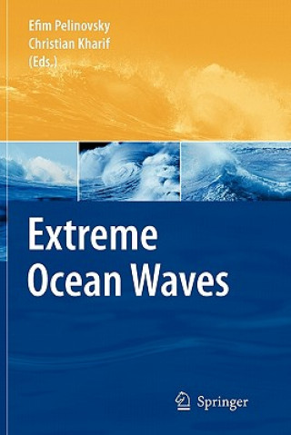 Carte Extreme Ocean Waves Efim Pelinovsky