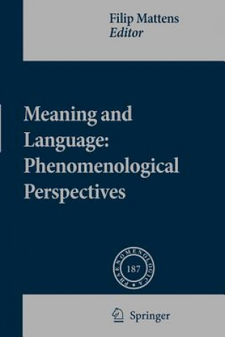 Kniha Meaning and Language: Phenomenological Perspectives Filip Mattens
