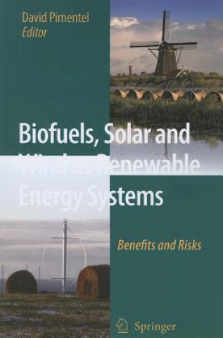 Buch Biofuels, Solar and Wind as Renewable Energy Systems D. Pimentel