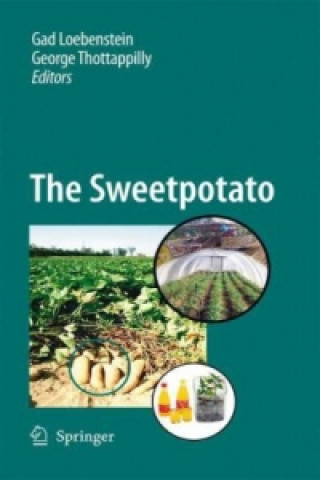 Kniha Sweetpotato Gad Loebenstein