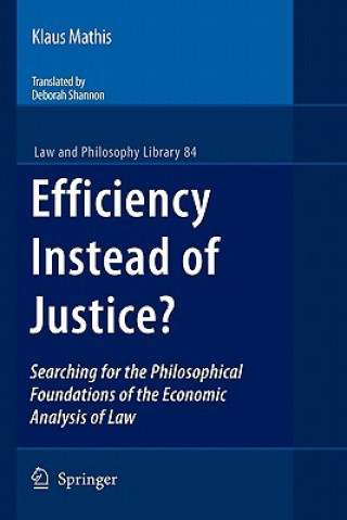 Könyv Efficiency Instead of Justice? Klaus Mathis