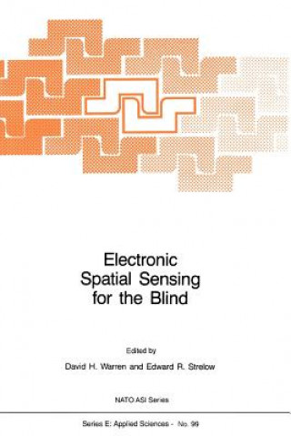 Kniha Electronic Spatial Sensing for the Blind D.H. Warren