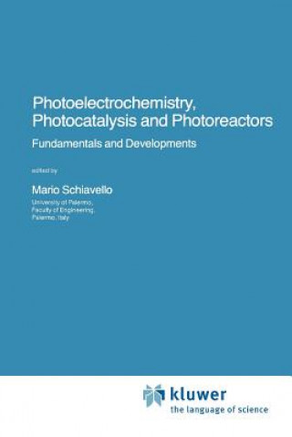 Kniha Photoelectrochemistry, Photocatalysis and Photoreactors Fundamentals and Developments Mario Schiavello