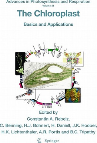 Kniha Chloroplast Constantin A. Rebeiz