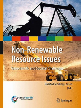 Kniha Non-Renewable Resource Issues Richard Sinding-Larsen