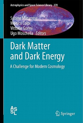 Könyv Dark Matter and Dark Energy Sabino Matarrese