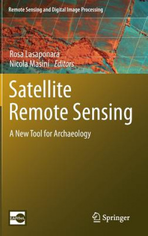 Boek Satellite Remote Sensing Rosa Lasaponara
