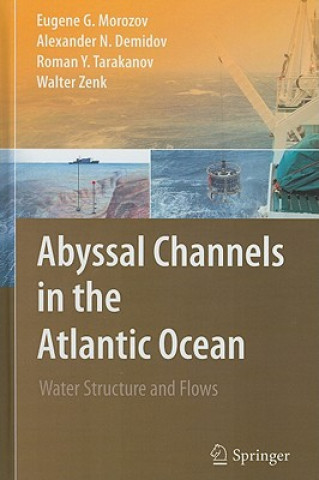 Книга Abyssal Channels in the Atlantic Ocean Eugene G. Morozov