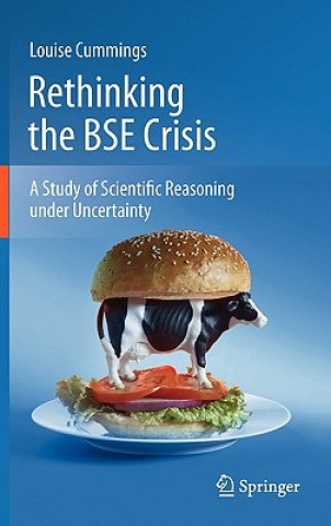 Kniha Rethinking the BSE Crisis Louise Cummings