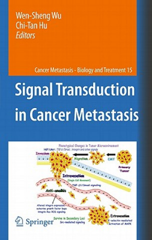 Könyv Signal Transduction in Cancer Metastasis Wen-Sheng Wu