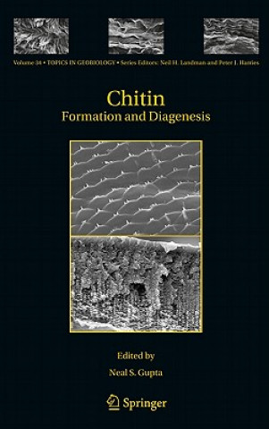 Βιβλίο Chitin Neal S. Gupta