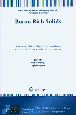 Kniha Boron Rich Solids Nina Orlovskaya