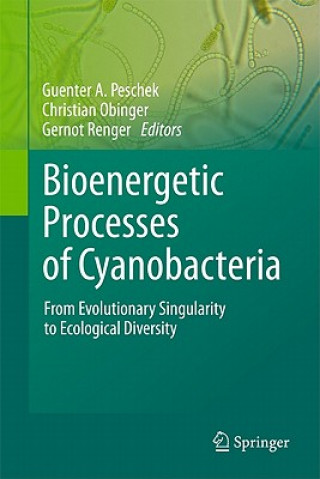 Książka Bioenergetic Processes of Cyanobacteria Guenter A. Peschek