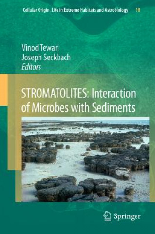 Könyv STROMATOLITES: Interaction of Microbes with Sediments Vinod Tewari
