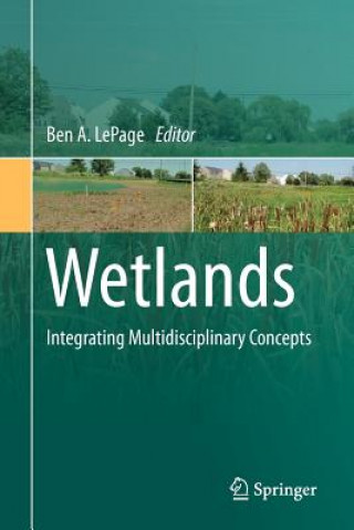 Kniha Wetlands Ben A. LePage