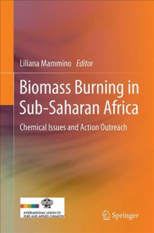 Buch Biomass Burning in Sub-Saharan Africa Liliana Mammino