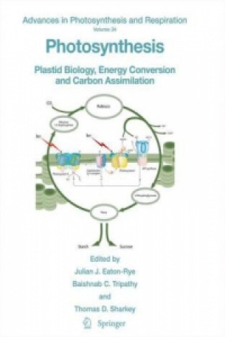 Buch Photosynthesis Julian J. Eaton-Rye