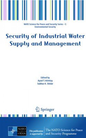 Könyv Security of Industrial Water Supply and Management Aysel T. Atimtay