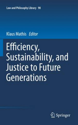 Книга Efficiency, Sustainability, and Justice to Future Generations Klaus Mathis