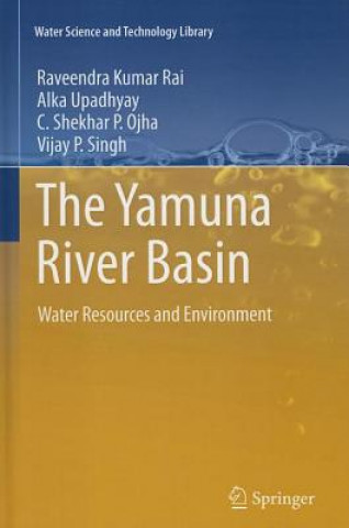 Książka Yamuna River Basin Raveendra K. Rai