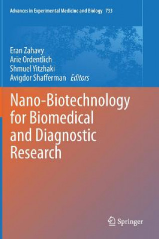 Kniha Nano-Biotechnology for Biomedical and Diagnostic Research Eran Zahavy