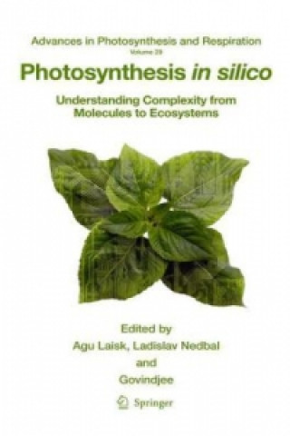 Carte Photosynthesis in silico Agu Laisk