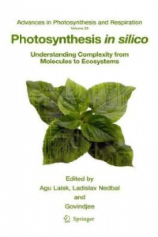 Book Photosynthesis in silico Agu Laisk