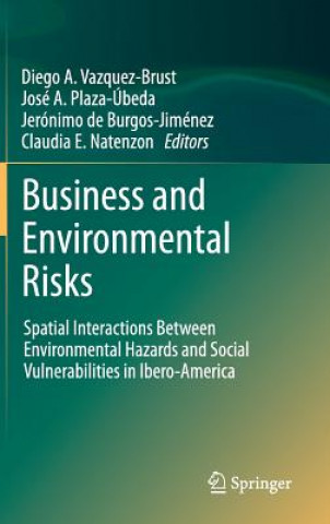 Knjiga Business and Environmental Risks Diego A. Vázquez-Brust