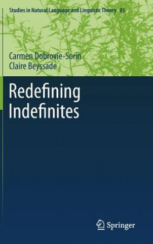 Carte Redefining Indefinites Carmen Dobrovie-Sorin