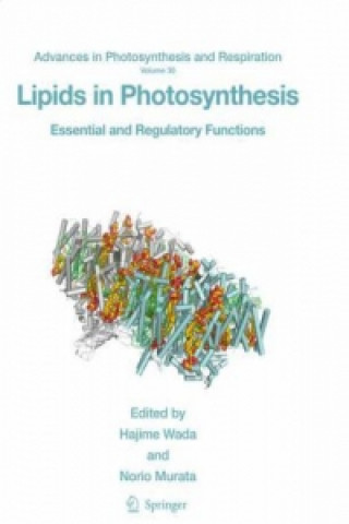 Könyv Lipids in Photosynthesis Hajime Wada