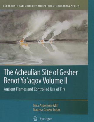 Carte Acheulian Site of Gesher Benot Ya'aqov Volume II Nira Alperson-Afil