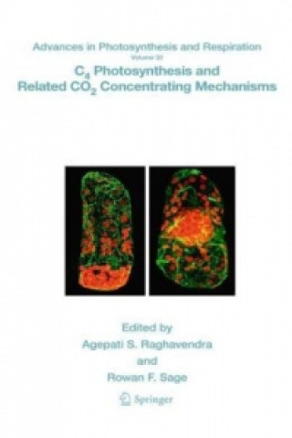 Carte C4 Photosynthesis and Related CO2 Concentrating Mechanisms Agepati S. Raghavendra