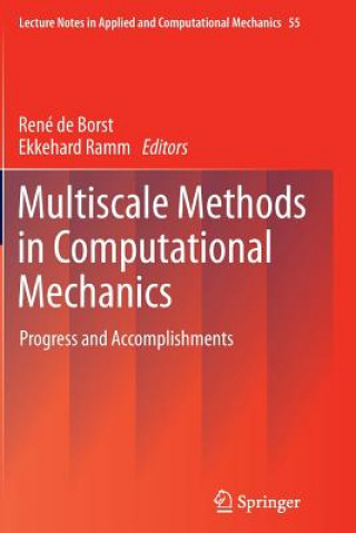 Kniha Multiscale Methods in Computational Mechanics René de Borst