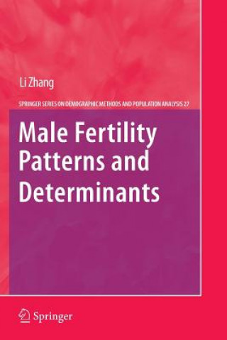 Könyv Male Fertility Patterns and Determinants Li Zhang