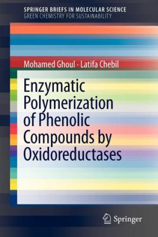 Könyv Enzymatic polymerization of phenolic compounds by oxidoreductases Mohamed Ghoul