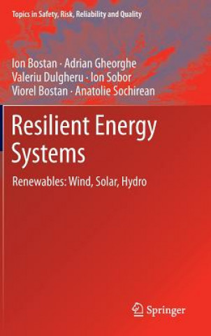 Книга Resilient Energy Systems Ion Bostan