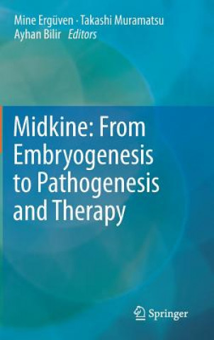 Carte Midkine: From Embryogenesis to Pathogenesis and Therapy Mine Ergüven