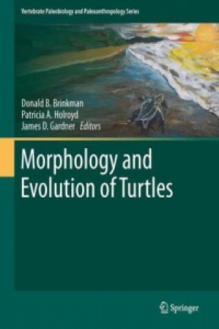 Kniha Morphology and Evolution of Turtles Donald B. Brinkman