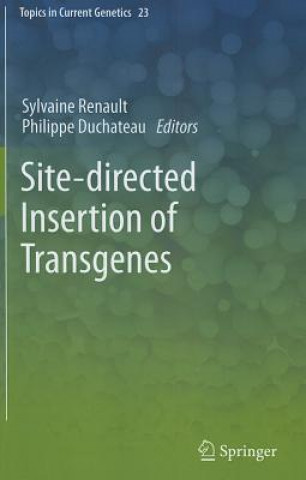 Könyv Site-directed insertion of transgenes Sylvaine Renault