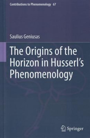Książka Origins of the Horizon in Husserl's Phenomenology Saulius Geniusas
