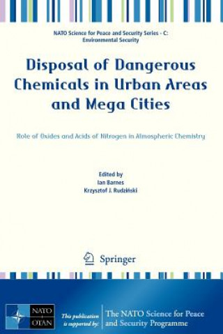 Kniha Disposal of Dangerous Chemicals in Urban Areas and Mega Cities Ian Barnes