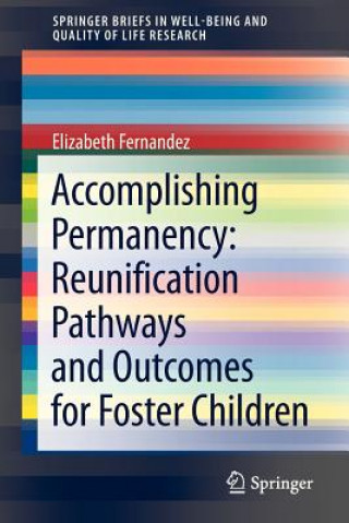 Buch Accomplishing Permanency: Reunification Pathways and Outcomes for Foster Children Elizabeth Fernandez