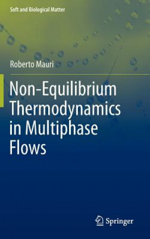 Kniha Non-Equilibrium Thermodynamics in Multiphase Flows Roberto Mauri