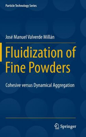 Kniha Fluidization of Fine Powders José Manuel Valverde Millán