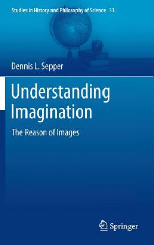 Książka Understanding Imagination Dennis L. Sepper