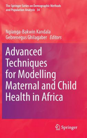Könyv Advanced Techniques for Modelling Maternal and Child Health in Africa Ngianga-Bakwin Kandala