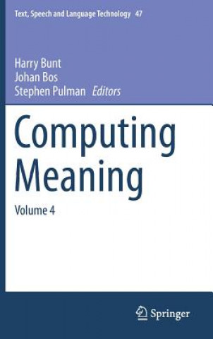 Kniha Computing Meaning Harry Bunt