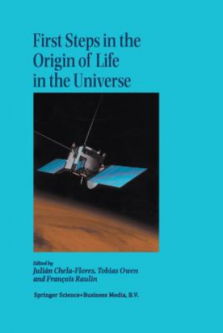 Carte First Steps in the Origin of Life in the Universe Julian Chela-Flores